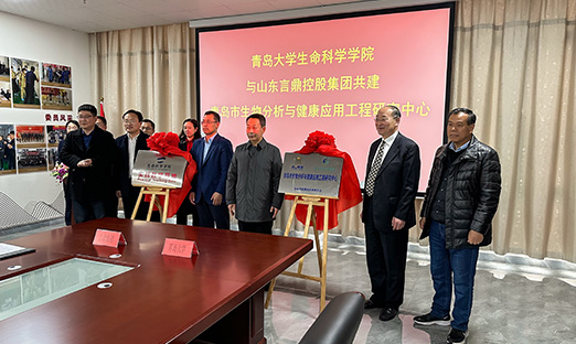 ƶappŽൺѧѧѧԺൺ뿵Ӧùоġ